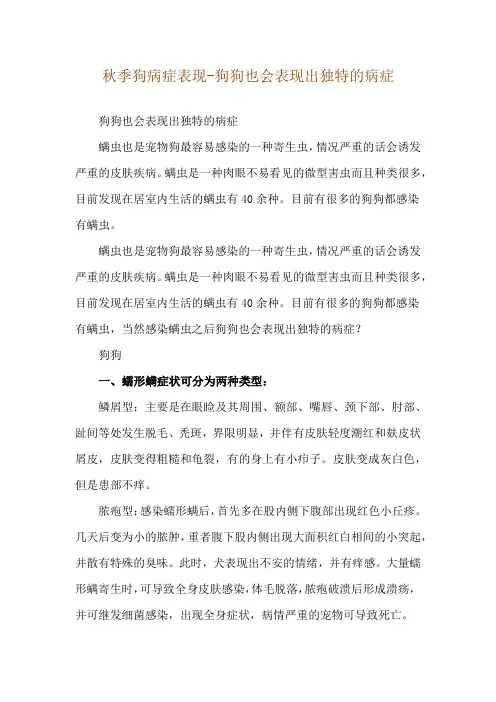 秋季狗病症表现-狗狗也会表现出独特的病症