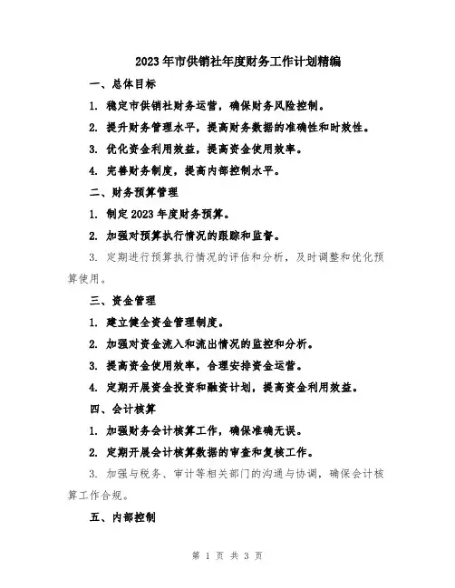 2023年市供销社年度财务工作计划精编