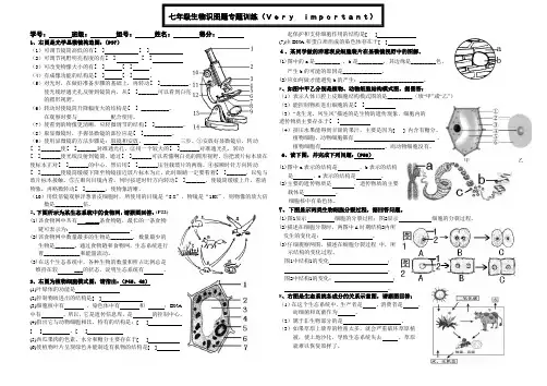 人教版七年级生物上册识图题专练试题