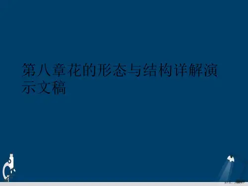 第八章花的形态与结构详解演示文稿