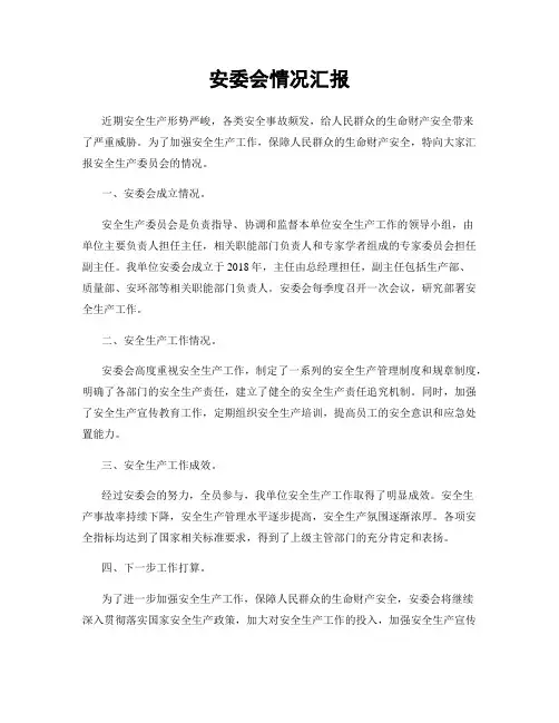 安委会情况汇报