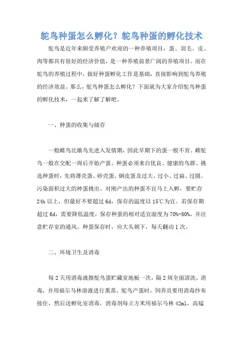 鸵鸟种蛋怎么孵化？鸵鸟种蛋的孵化技术