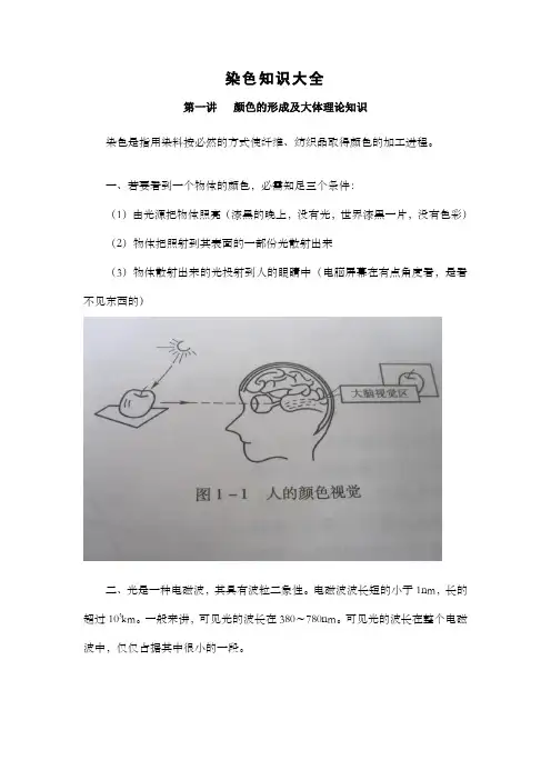 染色知识大全