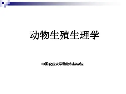 动物生殖生理学PPT