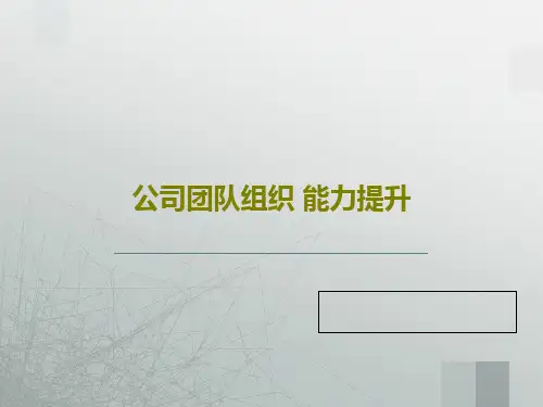 公司团队组织 能力提升PPT文档76页