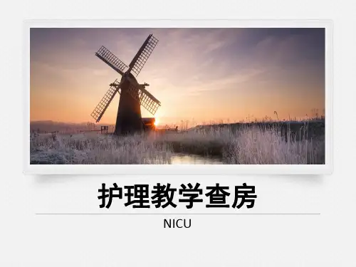 护理教学查房