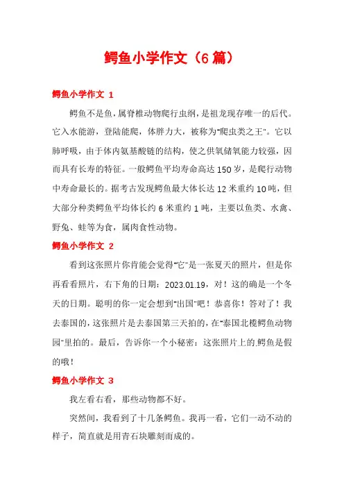 鳄鱼小学作文(6篇)