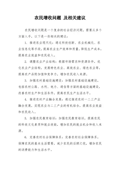 农民增收问题 及相关建议