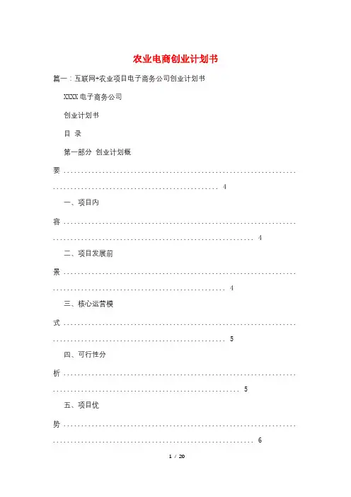 农业电商创业计划书