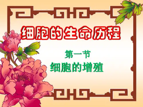 (新)人教版高中生物必修一第六章第四节细胞的增殖(细胞周期)