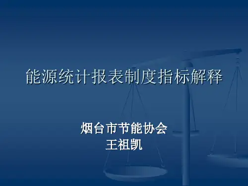 能源统计报表制度指标解释