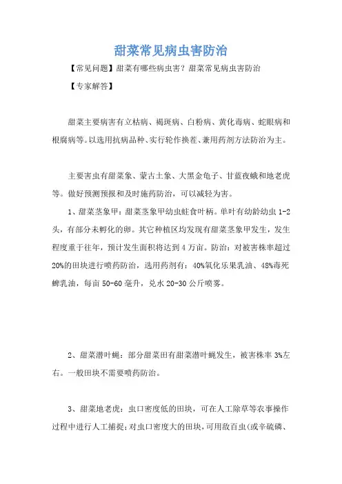 甜菜常见病虫害防治