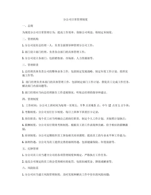 分公司日常管理制度
