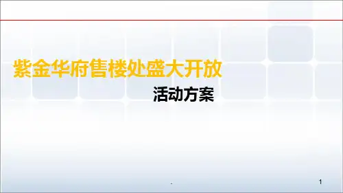 售楼处盛大开放活动方案PPT课件