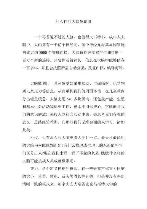 什么样的大脑最聪明