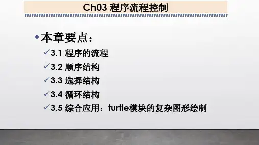 程序流程控制PPT课件