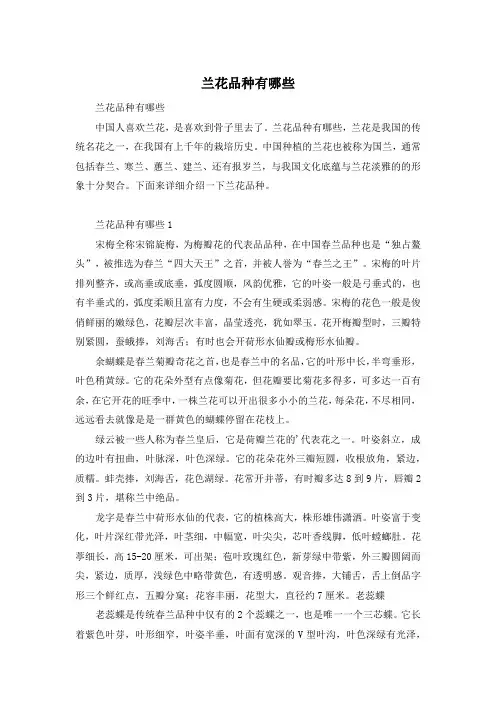 兰花品种有哪些