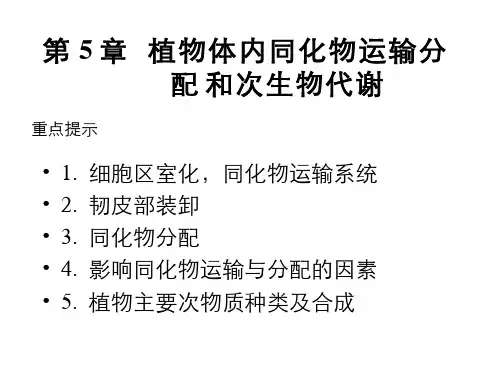 第五章植物同化物和次生代谢物