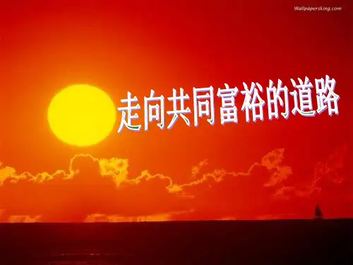 九年级政治 走向共同富裕的道路课件 人教版