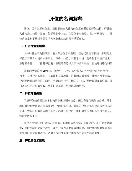 肝位的名词解释