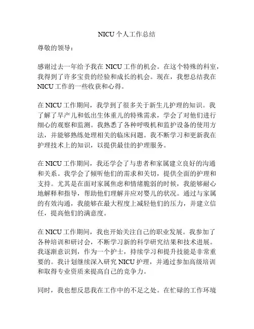 NICU个人工作总结