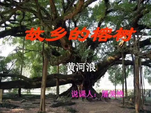 故乡的榕树 PPT课件61(说课)