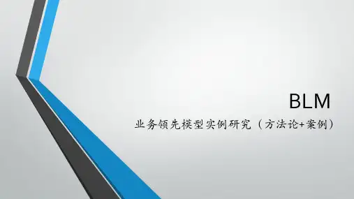 业务领先模型实例研究(方法论+案例)