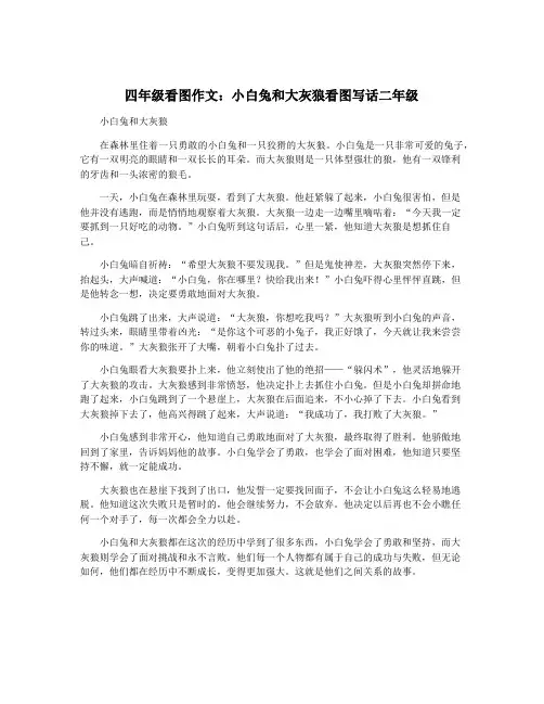 四年级看图作文：小白兔和大灰狼看图写话二年级