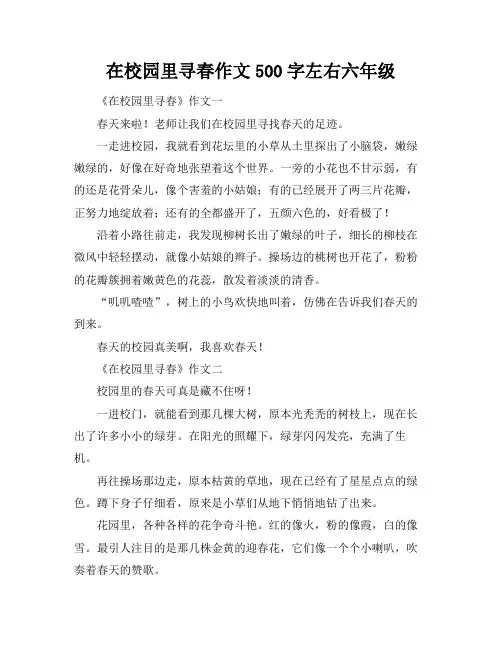在校园里寻春作文500字左右六年级