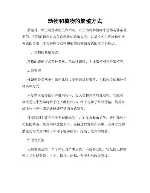动物和植物的繁殖方式