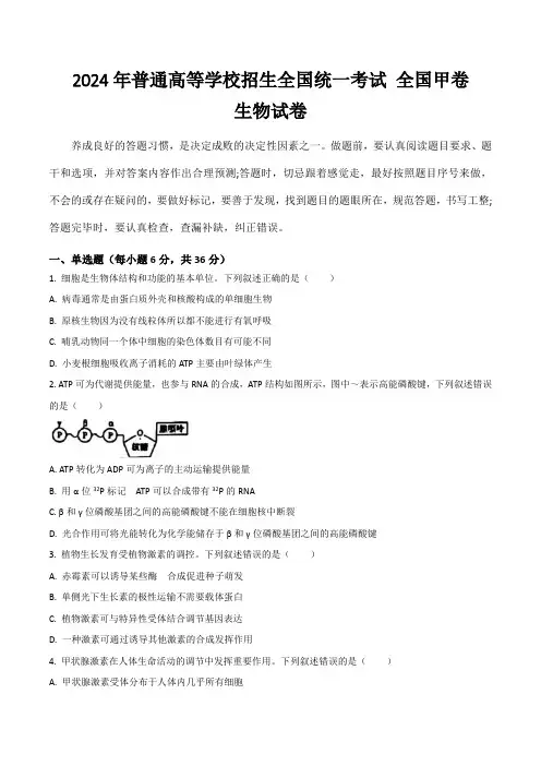 (2024年高考真题)2024年普通高等学校招生全国统一考试生物试卷 全国甲卷(含答案)
