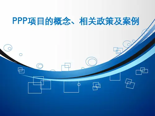 ppp项目概念政策案例