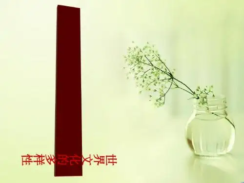高二政治3.1世界文化的多样性(共24张PPT)