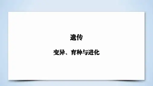 高考生物复习：变异、育种与进化