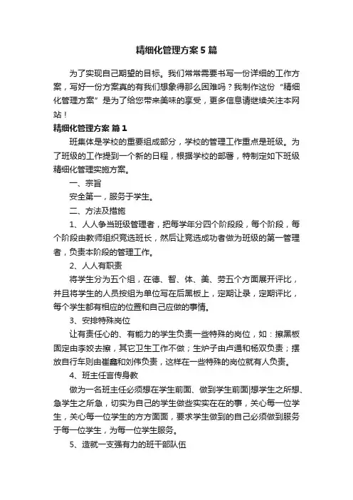 精细化管理方案5篇