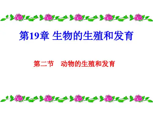 北师大版生物八上19.2《动物的生殖和发育》课件(共39张PPT)