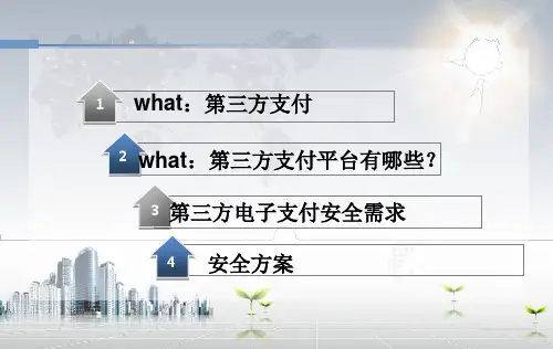 第三方支付ppt课件