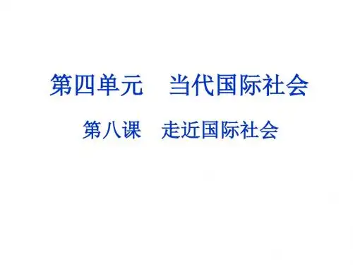 政治生活第八课课件