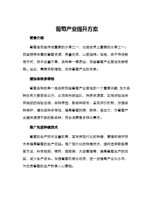 葡萄产业提升方案