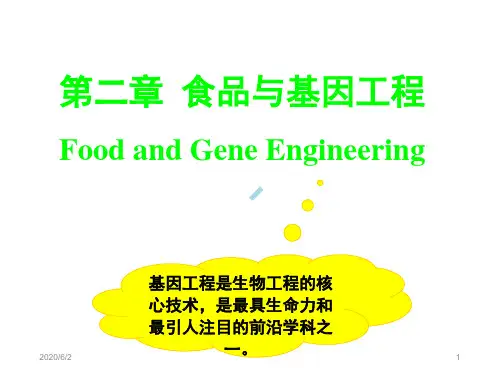 食品生物技术导论基因工程