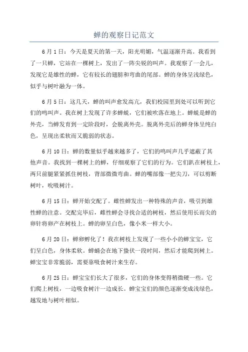 蝉的观察日记范文