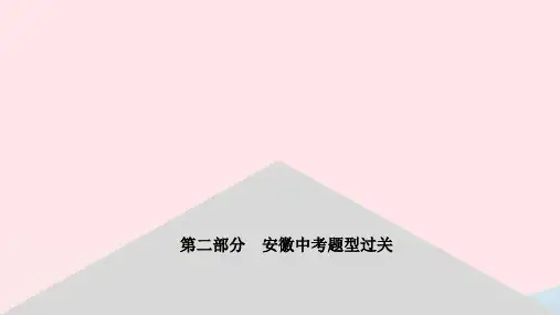 安徽省2023中考化学第二部分中考题型过关题型1_5课件