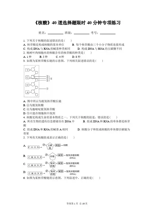 高三一轮复习生物：《核酸》40道选择题限时40分钟专项练习