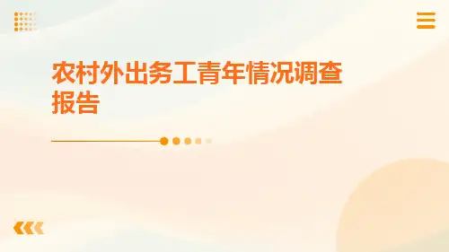 农村外出务工青年情况调查报告