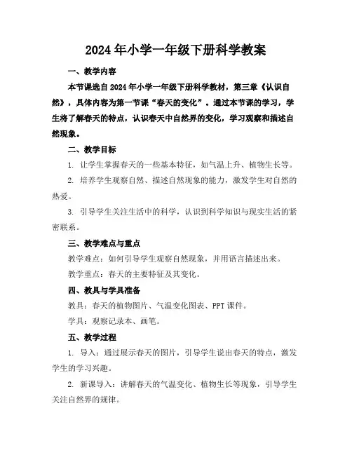 2024年小学一年级下册科学教案