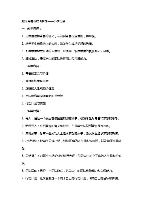 激扬青春与放飞梦想 教案 小学班会