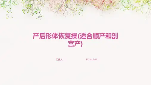 产后形体恢复操(适合顺产和剖宫产)