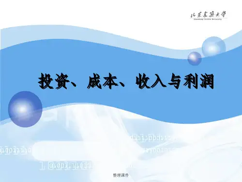 工程经济学 投资、成本、收入与利润