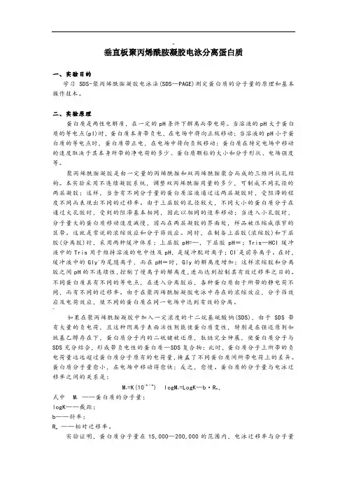 SDS-PAGE电泳实验步骤