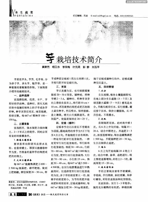 芋栽培技术简介